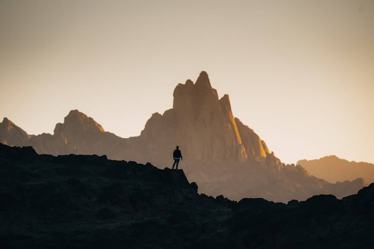 Alpine scenery on Mount Kenya with giant groundsel plants and glacial valleys